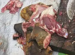 images?q=tbn:ANd9GcTccFVjwK5Hxz9nVMF6AJh-o0xKsb1M77ZvEkytfK0hRWeHkBbH5CBMDQeT&s