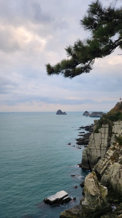 900%EF%BC%BF20250105%EF%BC%BF163521.jpg?type=w773