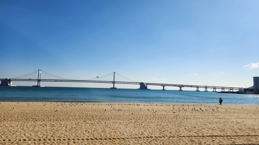 900%EF%BC%BF20250107%EF%BC%BF120824.jpg?type=w3840