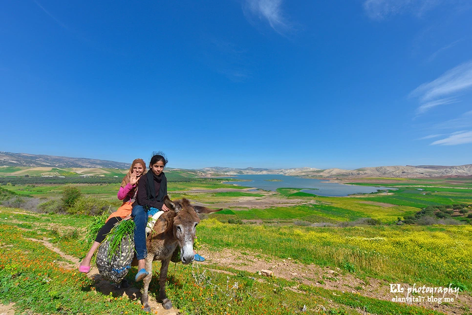 DSC_9828-%EC%82%AC%EB%B3%B8-%ED%8E%B8%EC%A7%91-%EB%B3%B5%EC%82%ACelan.jpg?type=w966