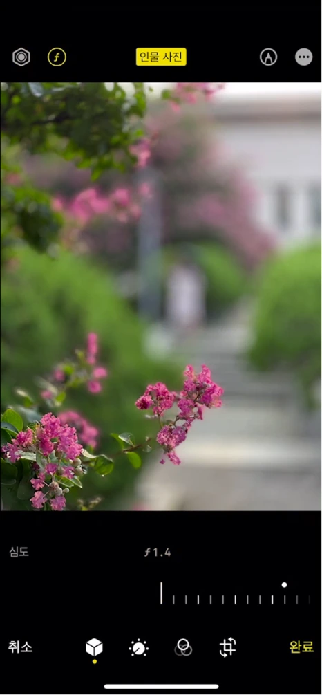 20240217_013336.png?type=w466