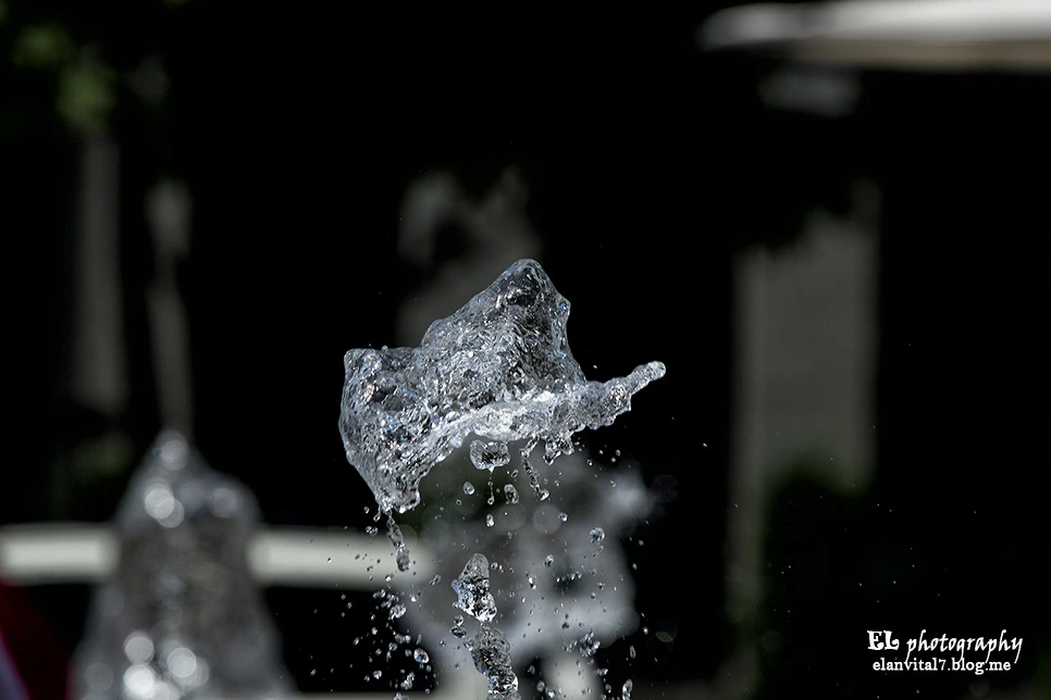 IMG_7472aelan.jpg?type=w966