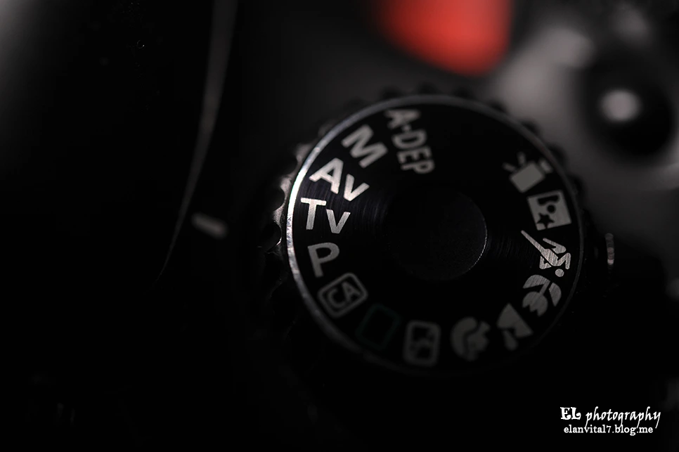 ELF_0774_%EC%82%AC%EB%B3%B8.jpg?type=w966