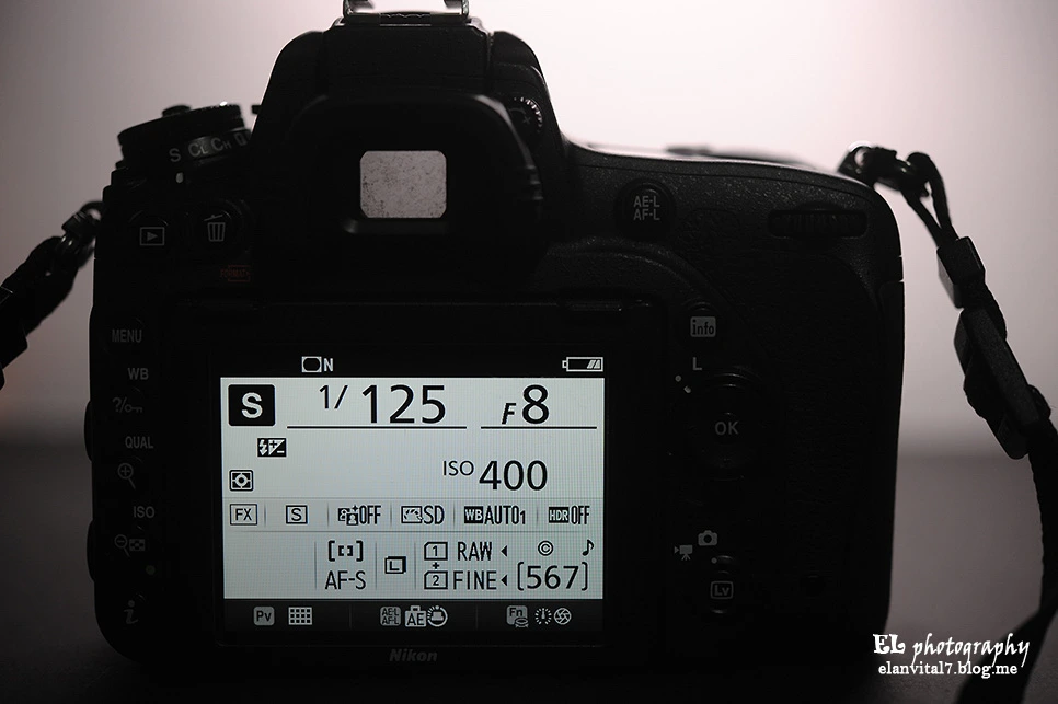 ELF_0850elan.jpg?type=w966