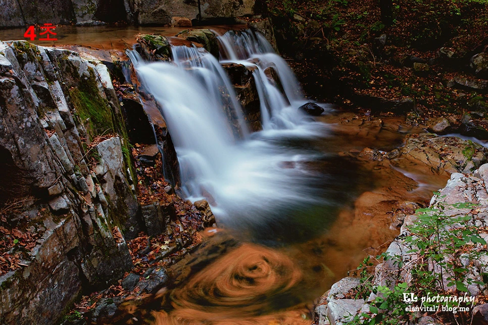 j1elan.jpg?type=w966