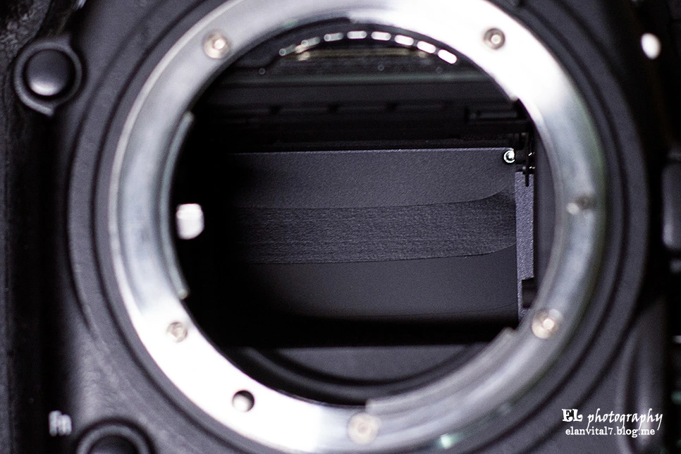 %EC%85%94%ED%84%B0elan.jpg?type=w966