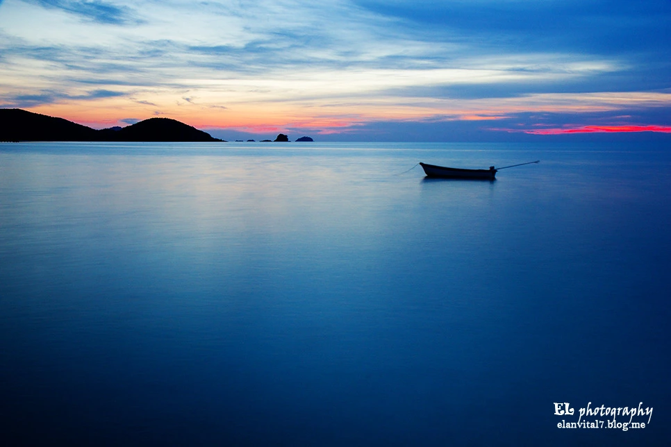 IMG_4814elan.jpg?type=w966