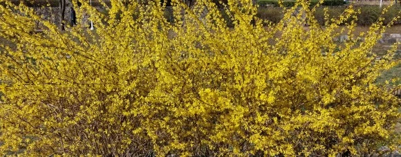 SE-39a7cc8f-df5d-4485-be52-5044d802dcc5.jpg?type=w580