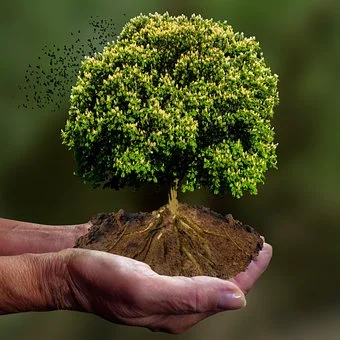 nature-4582137__340.jpg?type=w1