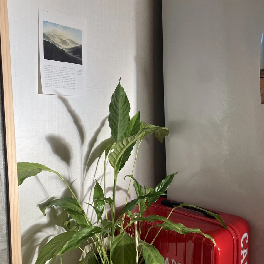 IMG%EF%BC%BF0872.jpg?type=w1