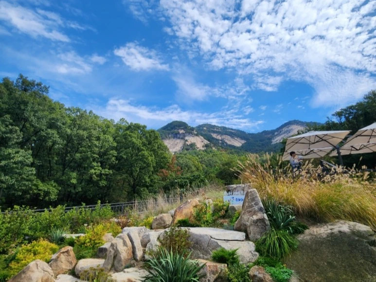 20221015%EF%BC%BF111719.jpg?type=w773