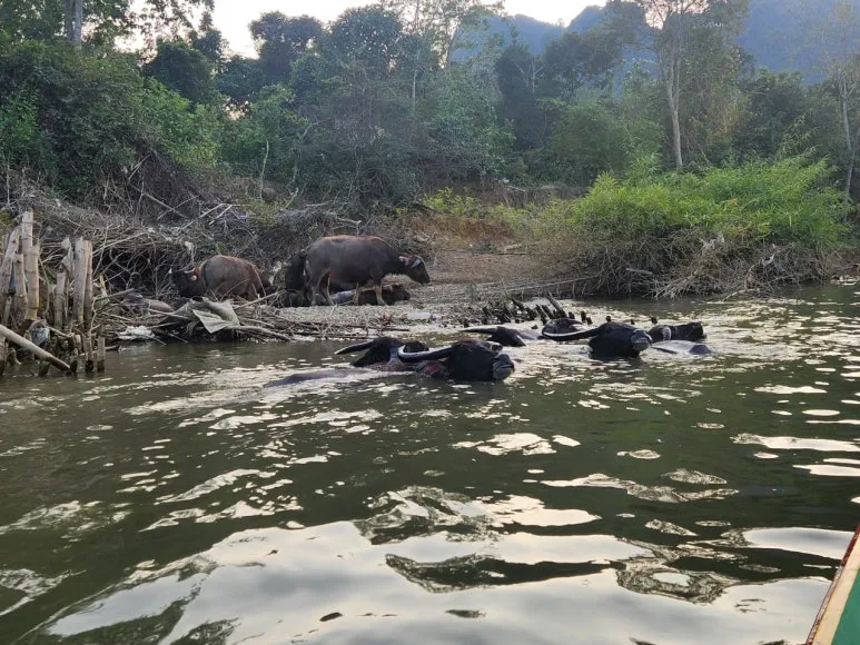 KakaoTalk_Photo_2025-04-10-14-04-03_008.jpeg?type=w773