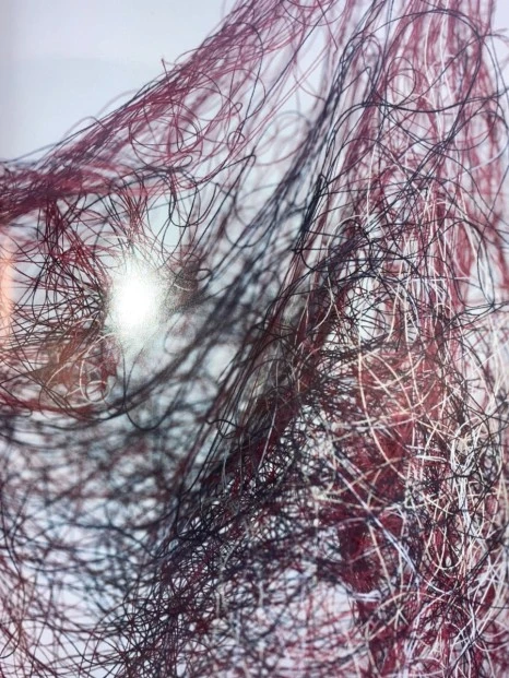 IMG_6853.jpg?type=w466