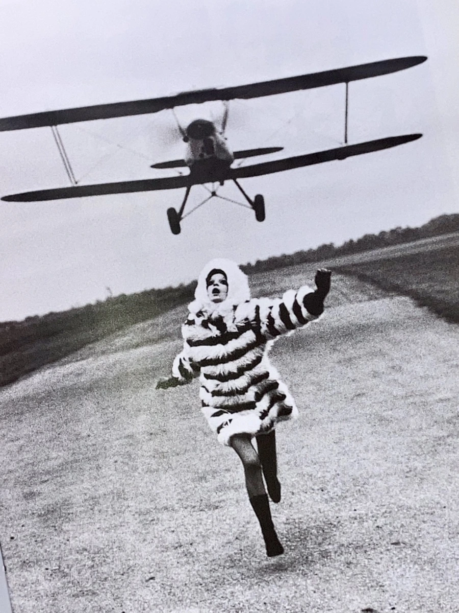 IMG_4586.jpg?type=w966