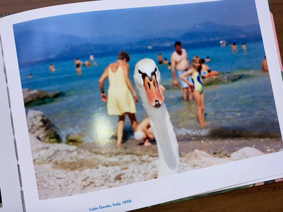 IMG_6784.jpg?type=w966