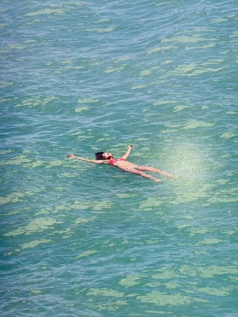 IMG_6803.jpg?type=w466