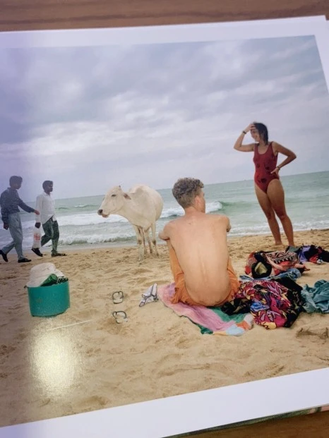 IMG_6764.jpg?type=w466