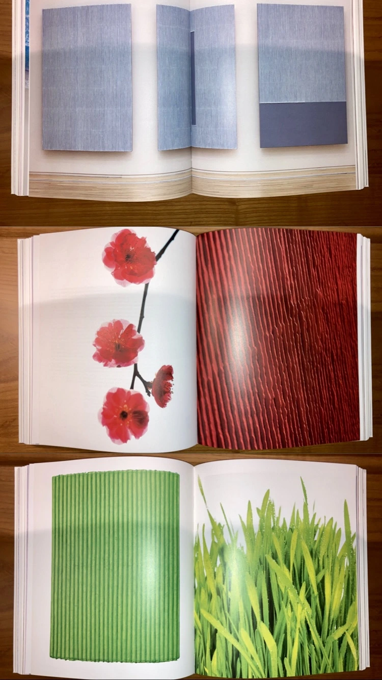 8C452087-C72E-4E64-91CB-9C2464C116E6.jpg?type=w966