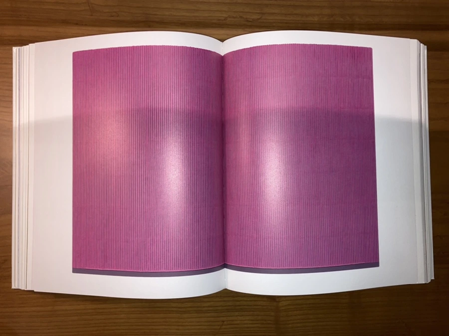 IMG_5513.jpg?type=w966