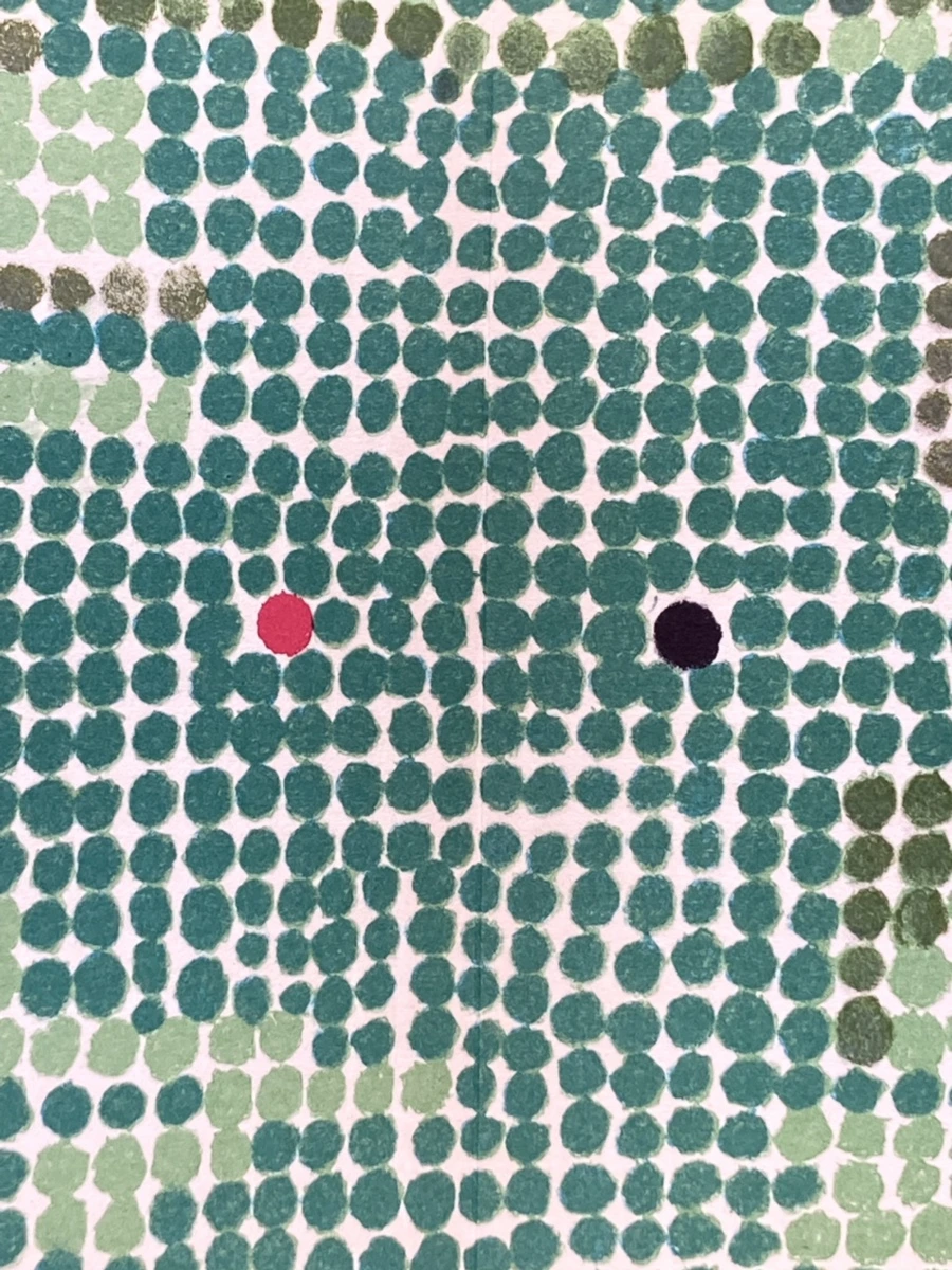 IMG_3889.jpg?type=w966