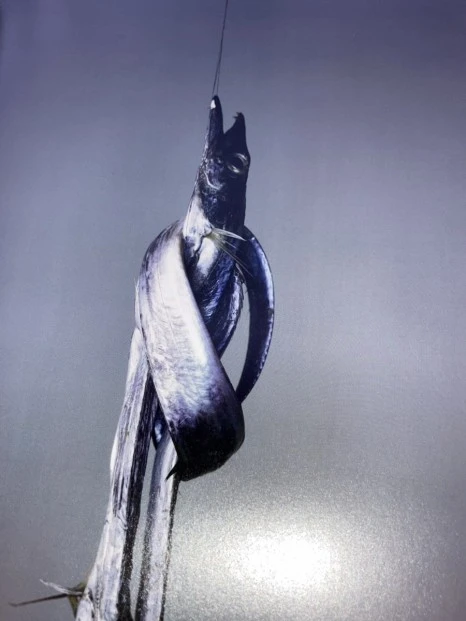 IMG_6857.jpg?type=w466