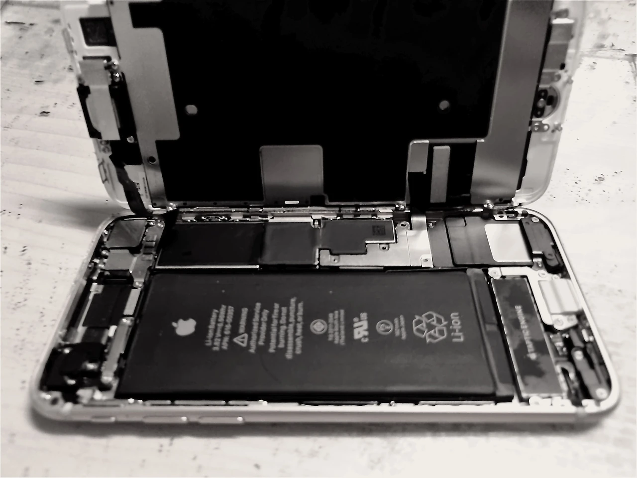 IMG_E3529 - 복사본.JPG