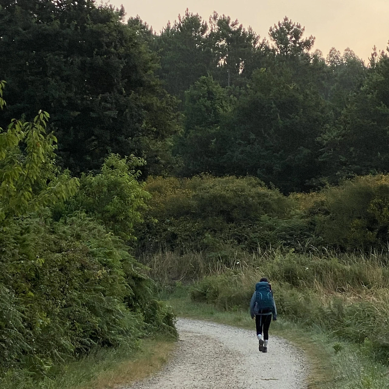 FullSizeRender 2.HEIC