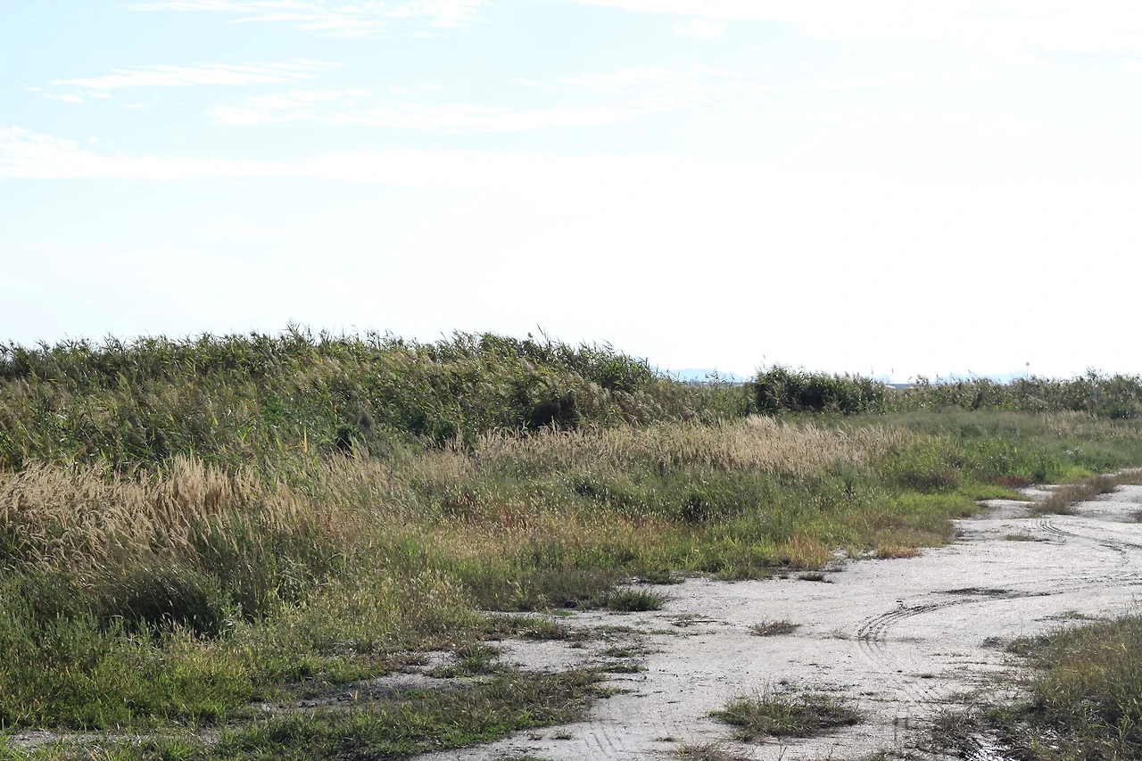 AD_4nXc4lpb2otildP9DAnKAmP9MNdBUdX2nCqEIUrtKol7abxthN106a0bM17JpapKW-x7UOpjLQJmoto3ScZvP6Ty7wlhwndr4VYu6tDG8UOt9aiU-8SqHdIX0zLs8Evd2M0vwh_nAxw?key=65sX0rc0UMmZ6XqbuzJWx7oh