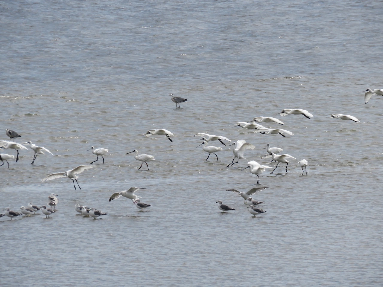 AD_4nXdSq-MIVlD2jgc67QelpPhtxlCf4bB7U_1nvbwKTeheWk6zu-qdASCaaL2u627kiK8AIZba4skfQA8bQF20RBNddlF9kD4UWq8drHU1duC9fTE1z9GwyoIulRbr042PzuaoPeZBEQ?key=65sX0rc0UMmZ6XqbuzJWx7oh