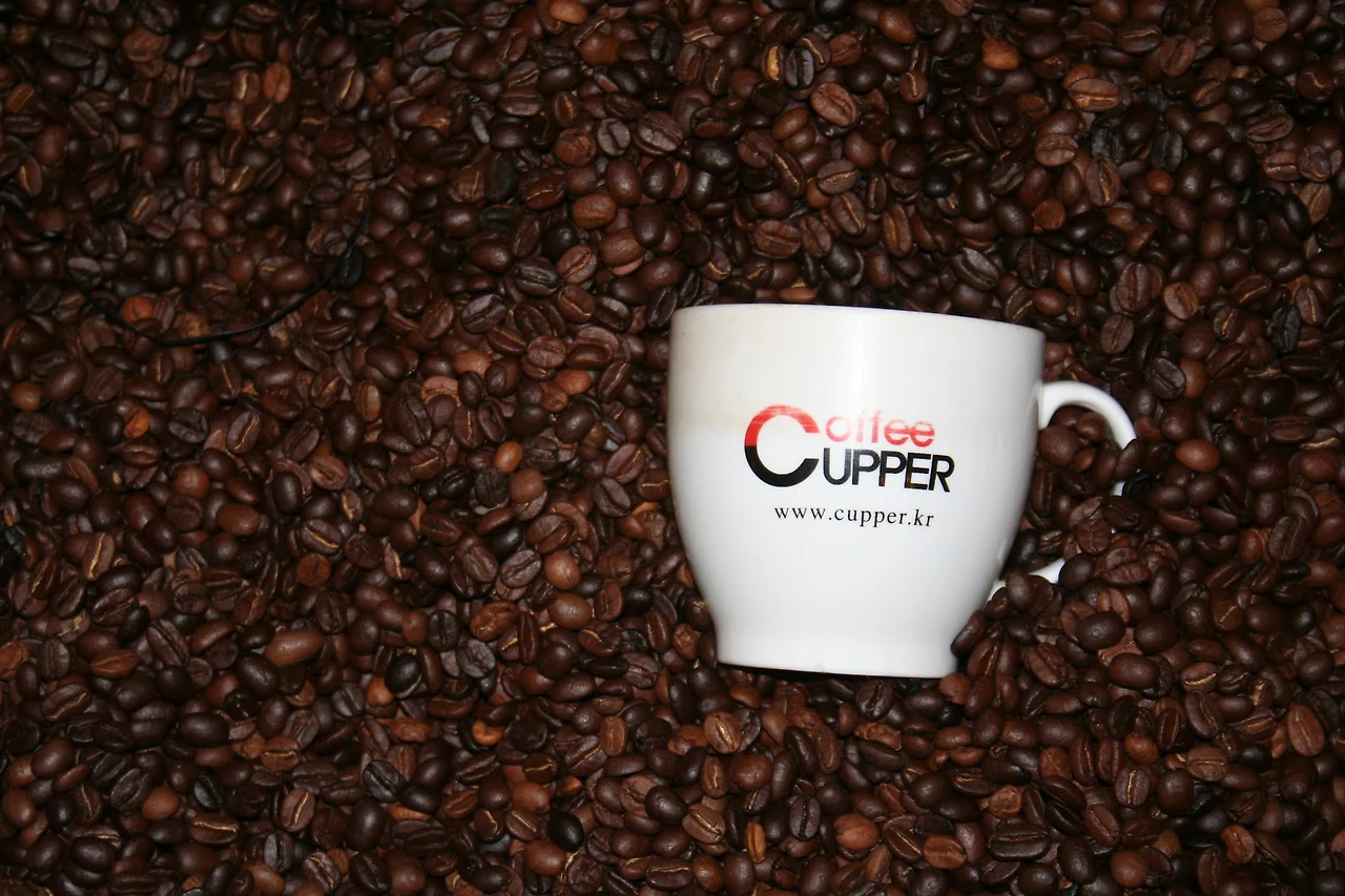 AD_4nXcZF0h3sCPrzHdCsecWMb8UaXaL8pfaLCTjrT7fENo8Qg061PPFNwA-vr_VvuVTF3oS5jA9E0GbDiRMPSB5jtRKqOfBe2wB9l83RMfPWGmSaIqB9mTxbYfUy-eSCMVpGonCxCM-3w?key=GEq_leK4IhRcPmDN5z9Etw