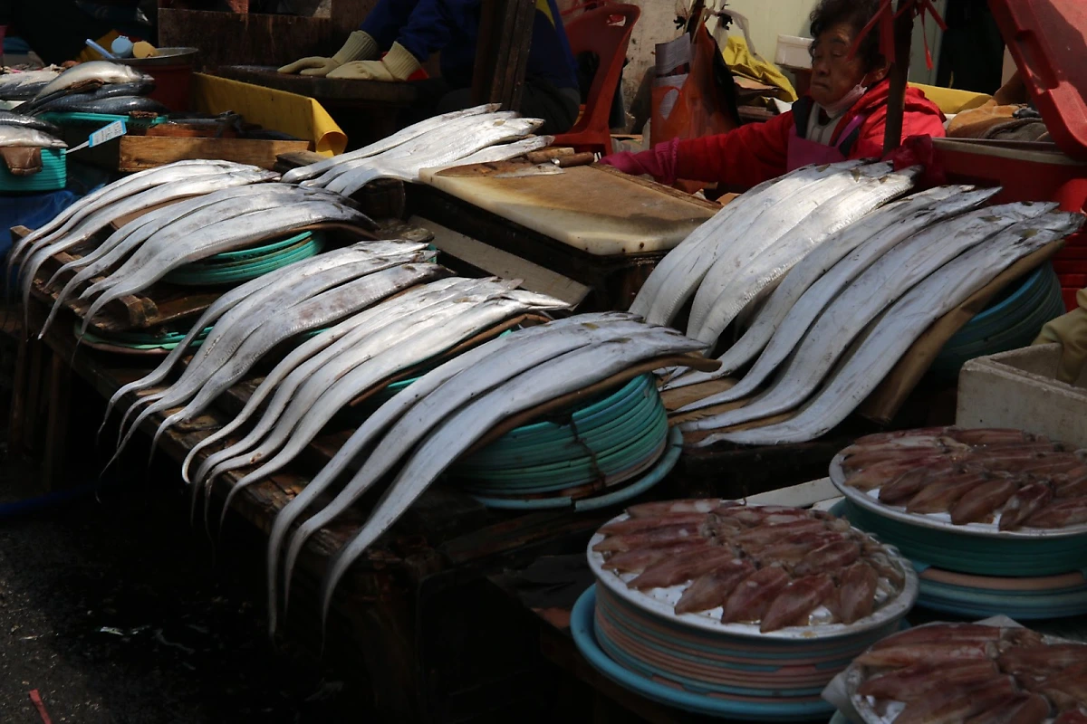 image.png?type=w1200