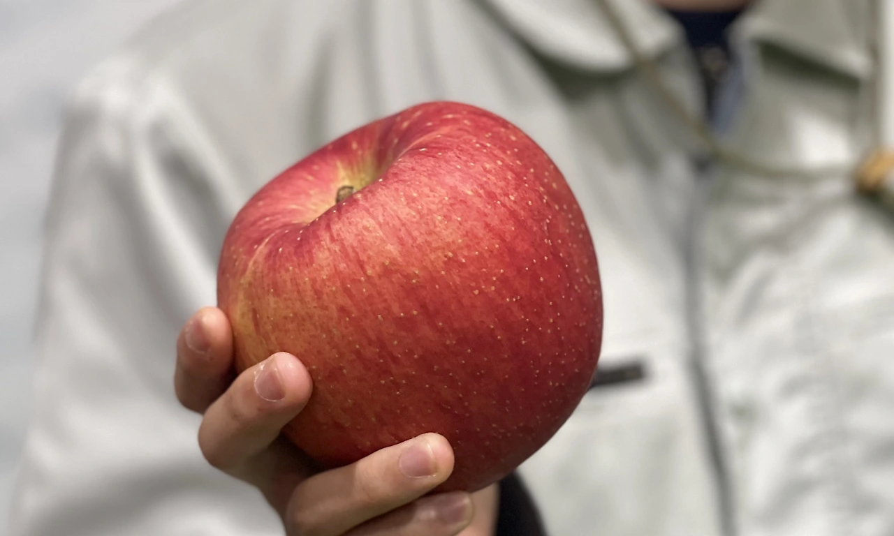 AD_4nXeWX9Zyd_m1PdBRDWgXi99Qqu0DoLrK6Qv47LWhbLjYfGyXbQ5q83oisoNioGxjb5rsyp5evGPfa29siGrYDAdizuEu4jNo-N12JjHcM3iEwUxFTqeabBkDtnZ-XF-CoYZDcReJszSF6JlL4DPNOi1OgAnU3kD7_IBd72QiWN5-jV4bIzs5HWw?key=4Tp9-8R43hOp-IfHrbHZiQ