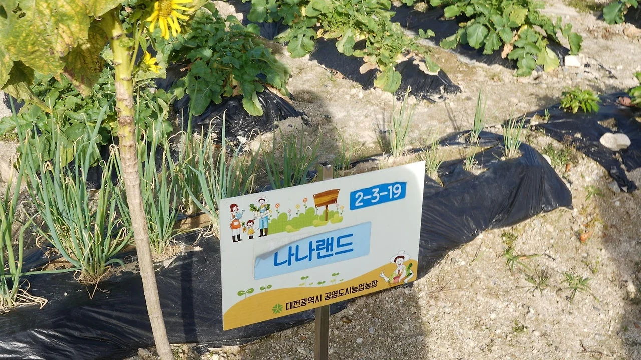 zkaqj6j5jlZ6KVHOnD-fEQ0SH63wBbJxY2CdH6SVoIveMhLB-7VqoftzKKYtK-GVUgiKzx7lpJn8nhFnob9kMMT8mmJz9jxcR6XQa2C3rMutEsuY3SdYScX66FML0Np49IYw2n1FJI5E7zGjvWjATA