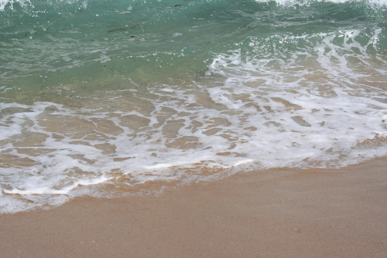 AD_4nXc00Qgj65PL8sM7hFiAss7G4RW5gMJPYPcvqFaiYCplRY05-gu-yZIiuqI74dLqNuBv97caSjnKUJ0xTq0MrriVgTV2CWIHL945mPD7l8jPWeirPyOKZ4En6MRFR2BOygYx29Y7qw?key=qJlNSCB_WSXh3AKuUz7bAw