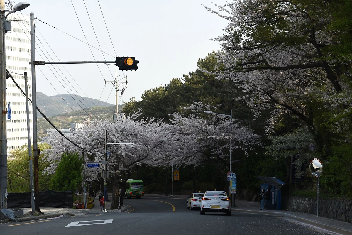 image.png?type=w1200