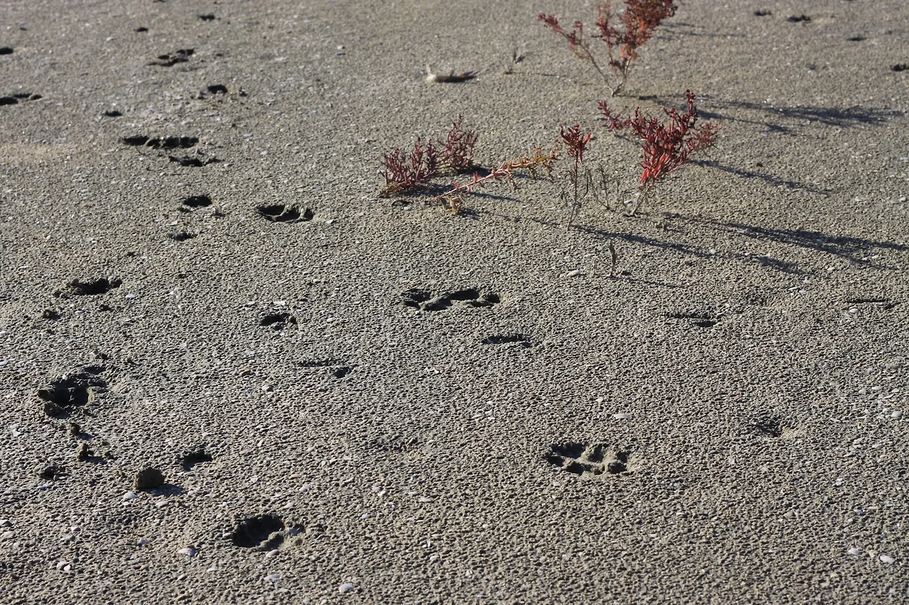 AD_4nXfiTUhswJESDBKa7eM0VCxv2FeGyFFJpJmgqYM09vAn2I1dqKFjHYW9F42uWYmMhQvoDJFFNbe5-8qE0nUFbVHlLhi13QnakKYEcXQYCkr7IQkvA7y8yggjT20pTXbtVOGjLJD2LA?key=65sX0rc0UMmZ6XqbuzJWx7oh