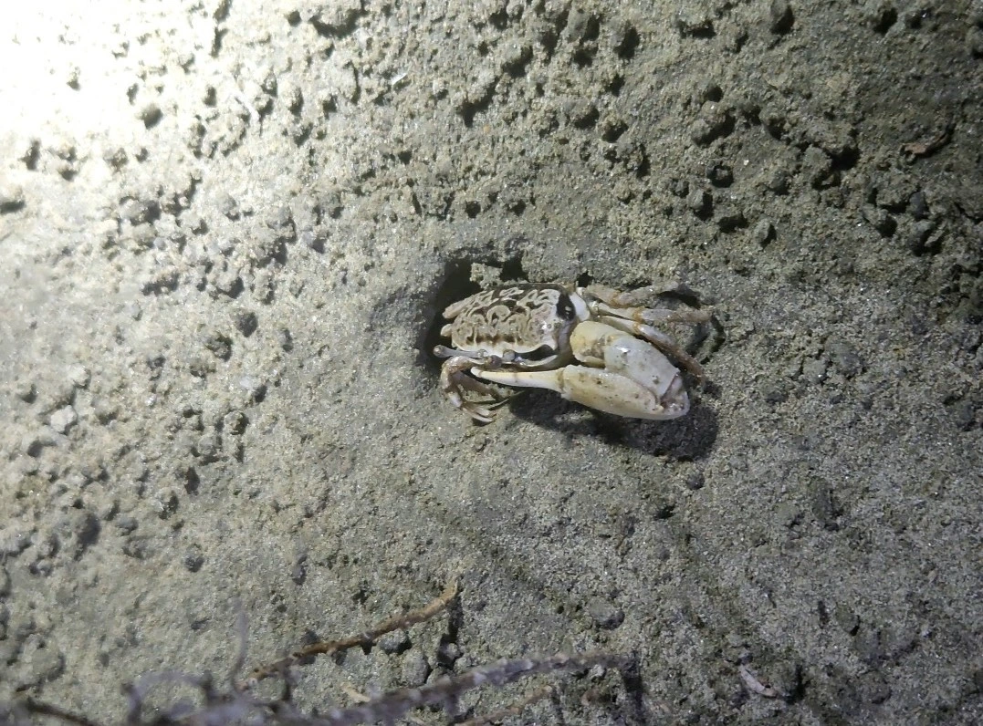 AD_4nXemMO8-OYzZJsp1uEPWUBJWqdPvugAN9HMHBOOIX6m05mLysbHZexKqQwg15w_QriA5fBiAynm4i7Yy2GkTspTdvc-DG3OiJzwFe4Au89npDKZ8N1JtEYLhaYKuU-TyJrFVRrf2Og?key=65sX0rc0UMmZ6XqbuzJWx7oh