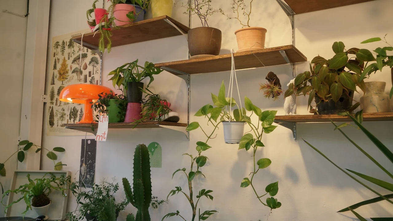 O5DmmDAsC4xO-5onp9V_x_bgHvSV0yXzZq3iu1P1VRYT1ADue4dxgwys39El0tbiQqUdLzG1F49G2SNKg00xKs8-noubvUm3cJ-GshDov6jfWoXwyByg7dP1I1olvu_mC31nylhi87p-