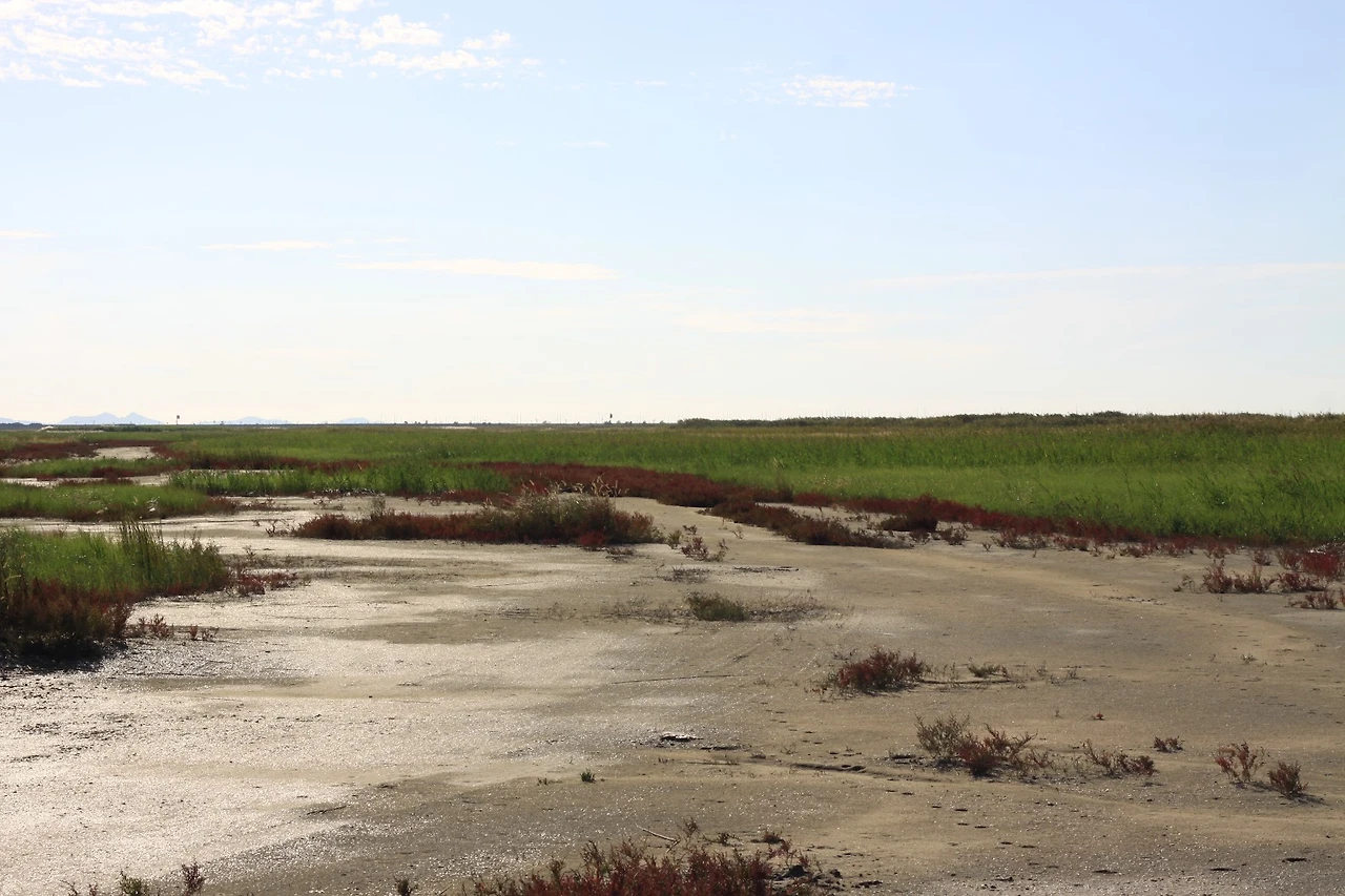 AD_4nXcyazMvBWBOYnpBRUXJsSKvuvAXiSYLRWcA6qpKZGfaNjuS0x_eGgt5f_FPYVkqisSKIefZEsMshoan5xlXJz7dF29sIGrVtDXxOGxt21bEuEIJjYch-xv1iUaum8Pix2ZtbjvA?key=65sX0rc0UMmZ6XqbuzJWx7oh