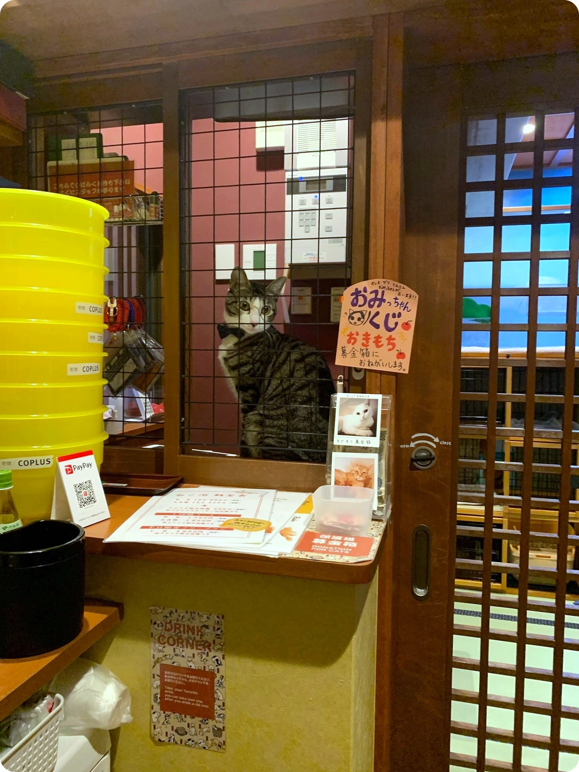 03e7fd75e7cf7894b78b239f81e5f109fcfec10d.47.1.26.2.jpg?fit=inside%7C2754:1548