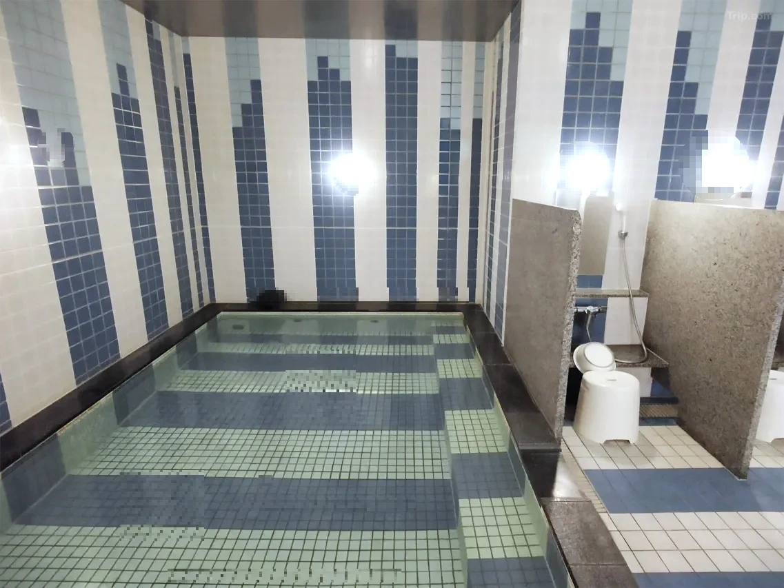 t_image,logo_tripbinary;ignoredefaultwm,1A8F