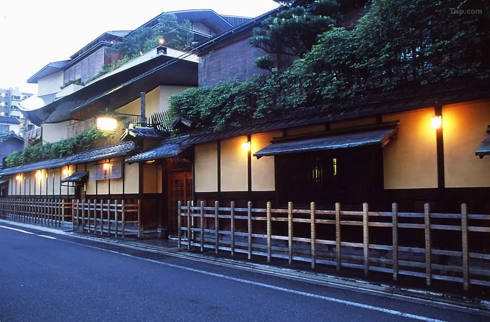 t_image,logo_tripbinary;ignoredefaultwm,1A8F