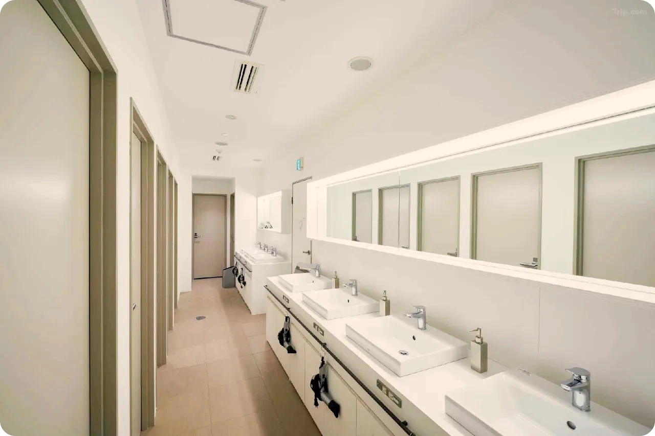 t_image,logo_tripbinary;ignoredefaultwm,1A8F