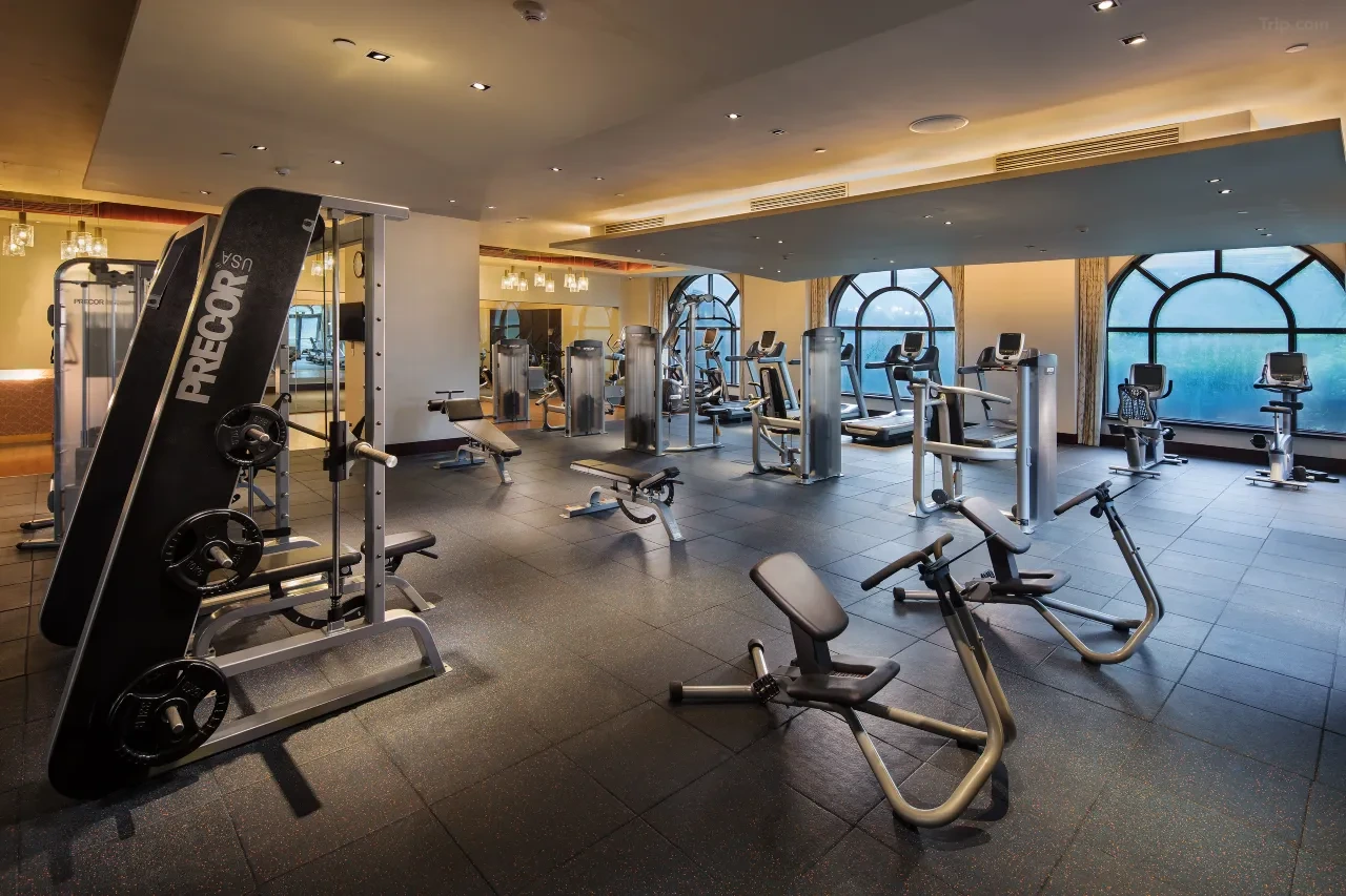 t_image,logo_tripbinary;ignoredefaultwm,1A8F