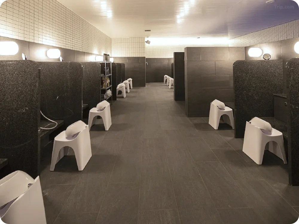 t_image,logo_tripbinary;ignoredefaultwm,1A8F