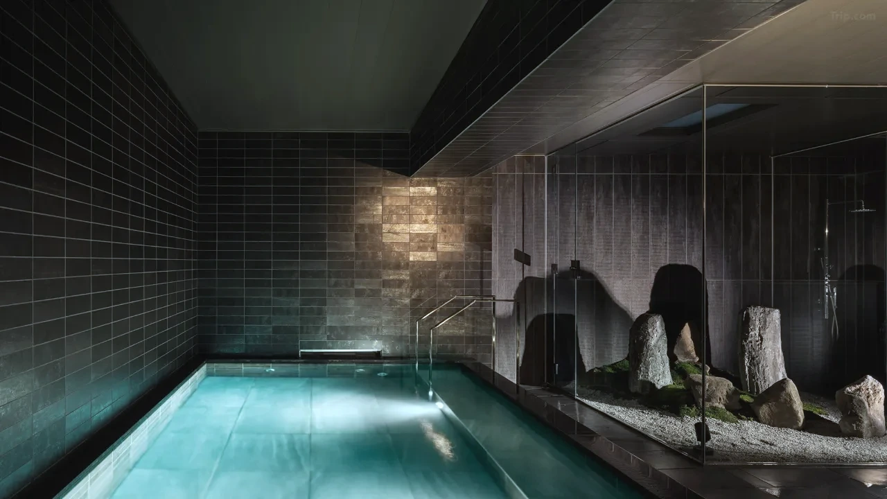 t_image,logo_tripbinary;ignoredefaultwm,1A8F