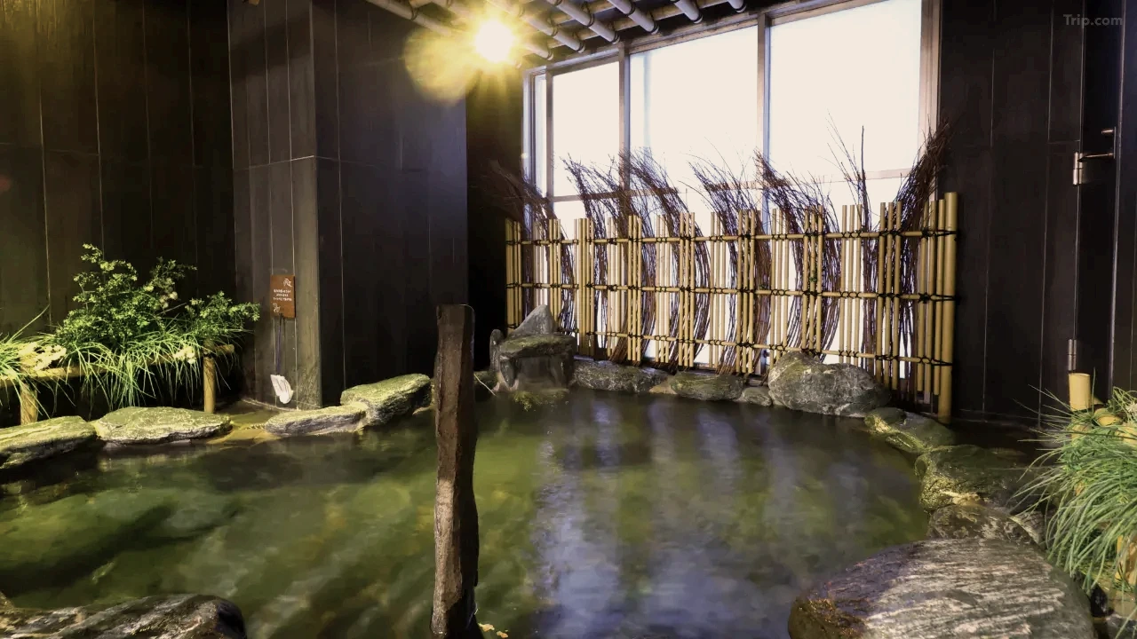 t_image,logo_tripbinary;ignoredefaultwm,1A8F