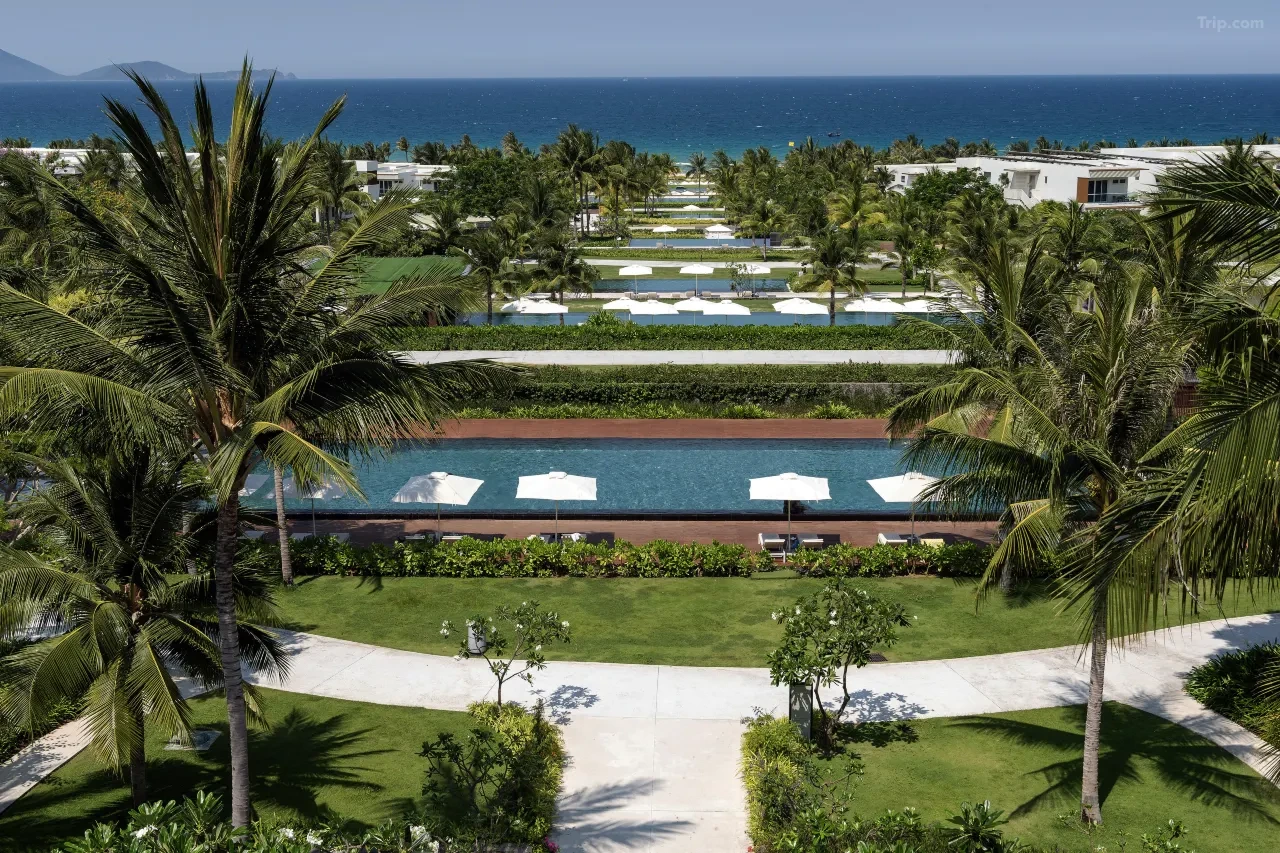 t_image,logo_tripbinary;ignoredefaultwm,1A8F