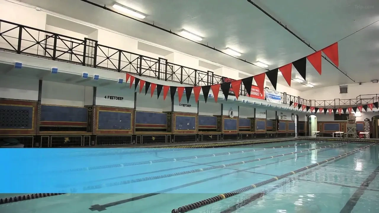 t_image,logo_tripbinary;ignoredefaultwm,1A8F