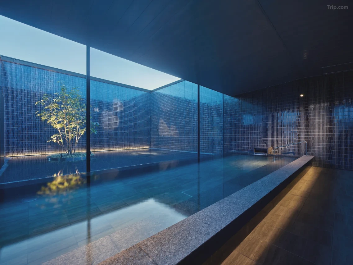 t_image,logo_tripbinary;ignoredefaultwm,1A8F